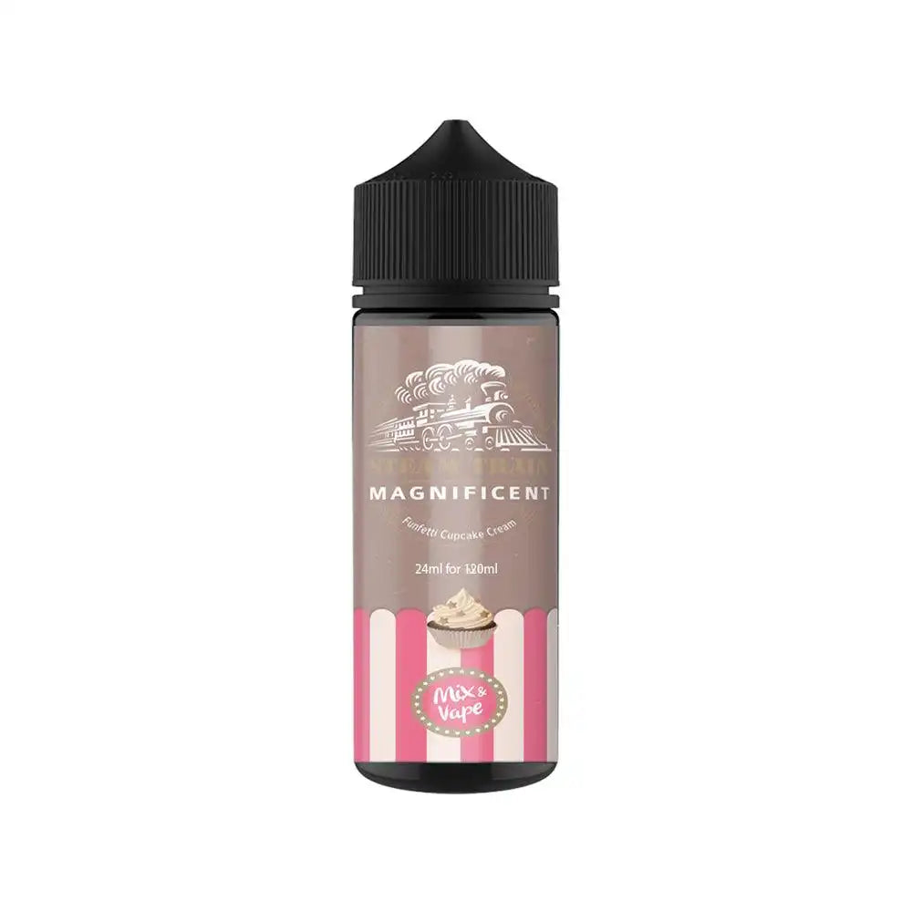 Steam Train Magnificent Flavor Shot 24/120ml